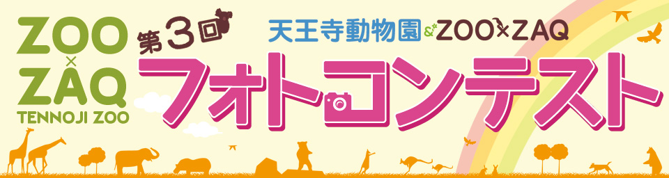 ��3�񓮕�����ZOO�~�t�H�g�R���e�X�g