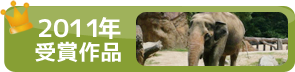 2011年受賞作品