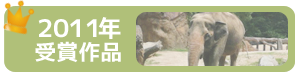 2011年受賞作品