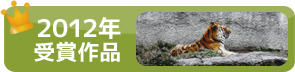 2012年受賞作品