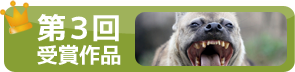 第３回受賞作品