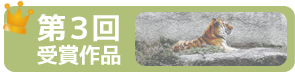 第3回受賞作品