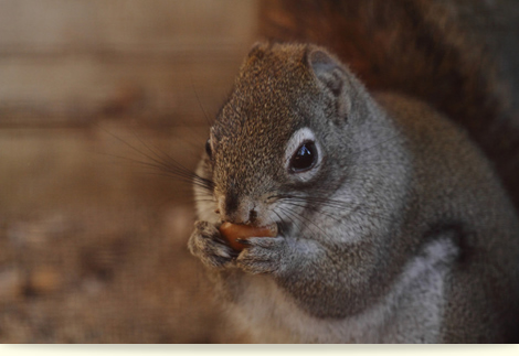一心不乱!(食欲の秋)