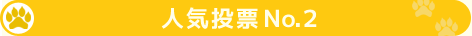 人気投票Ｎｏ．２