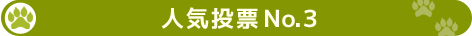 人気投票Ｎｏ．３