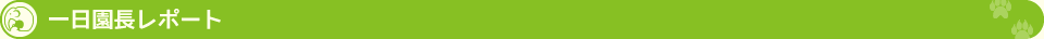 一日園長レポート